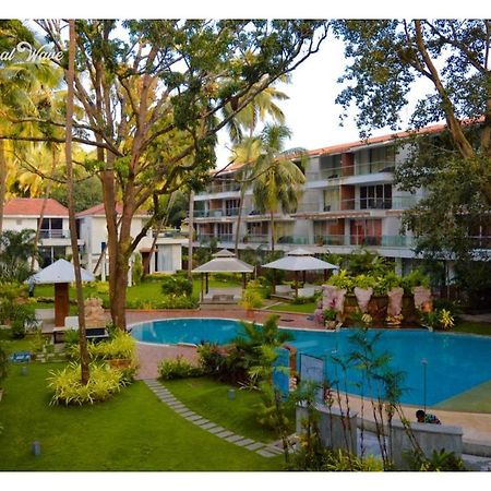 Aarju Luxurious Stay Calangute Εξωτερικό φωτογραφία
